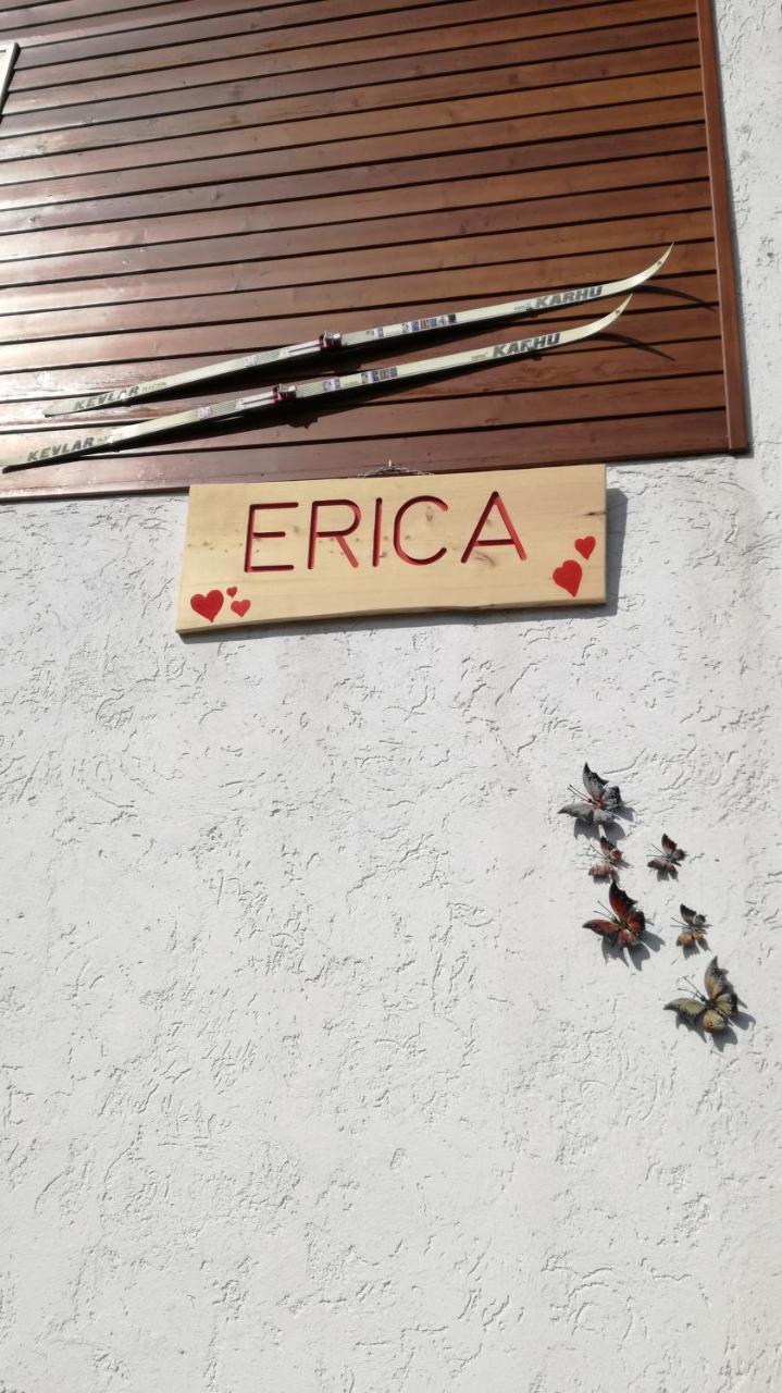 Casa Erica - Carano Apartman Kültér fotó
